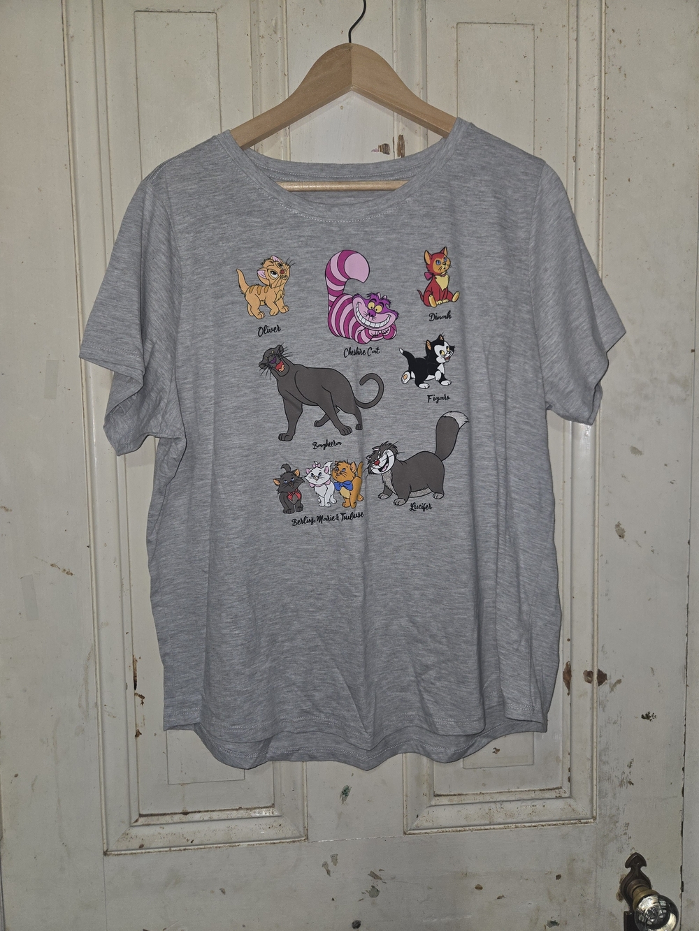 Disney Grey Cat Characters Graphic Tee